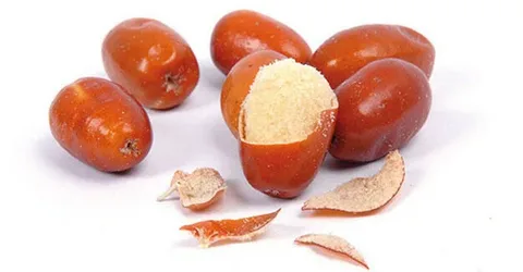فروش سنجد خرمایی